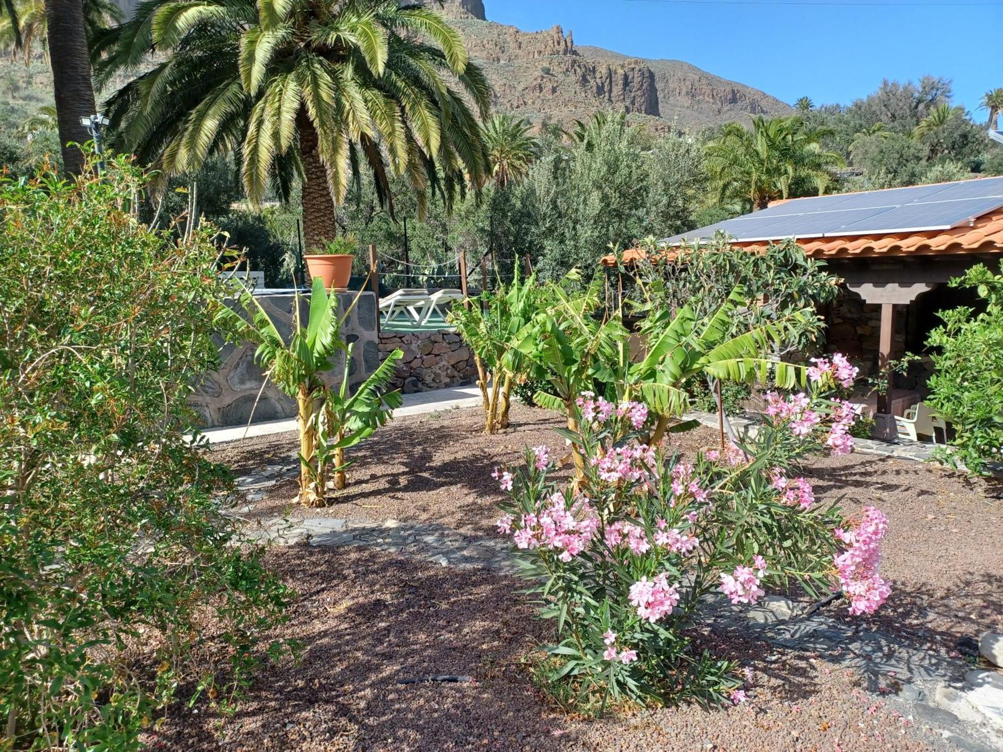Las Palmeras Temisas Exterior photo